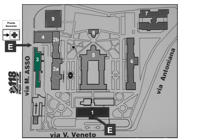 ANATOMIA PATOLOGICA