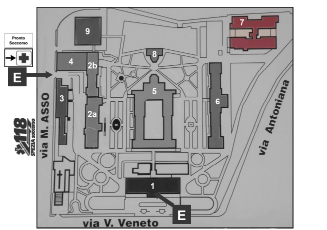 TERAPIA FISICA E RIABILITAZIONE